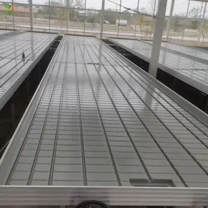 4x4 5x5 4x8 sel tepsileri ticari sera ebb ve sera tarım Hydroponics için akış