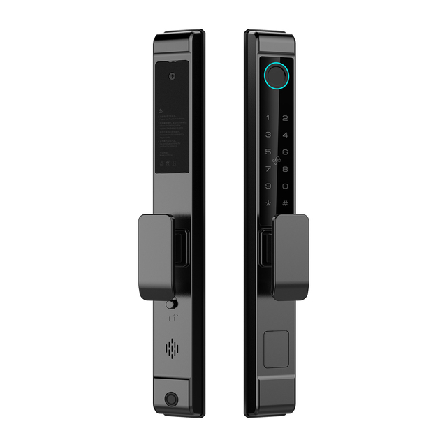 Waterproof IP65 Tuya Smart Biometric Fingerprint Door Lock with Memory Card for Steel/Glass/Wood Doors