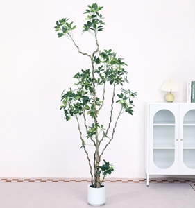 Planta verde de simulación, pie de pato, madera, luz de gama alta, sala de estar interior de lujo, planta de suelo en maceta grande, bonsái - Product Image 4