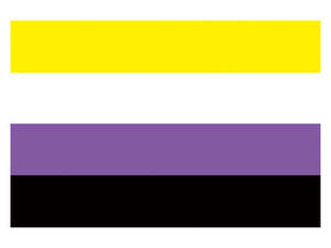 أعلام فخر بوليستر 3X5Ft من Gahumi للتزيين الترويجي معلقة بلون مخصص - Product Image 2