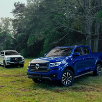 Pick-up essence 2023 Pore PICKUP pour adultes, fabriqué en Chine, avec éclairage LED, moteur électrique Great Wall, automatique
