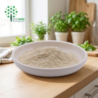 Factor de Crecimiento de Chlorella de Grado Alimenticio CGF OD1200 en Polvo, Extracto Natural de Algas Chlorella para Suplementos Nutricionales
