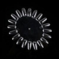 Roue de présentation légère et portable pour 20 faux ongles, idéale pour la pratique du nail art, en plastique, forme ronde, nuancier de couleurs pour vernis à ongles