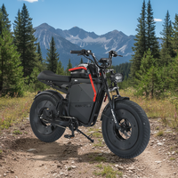 Vente flash Moto hybride tout-terrain 48V avec éclairage LED, cache-batterie, absorption des chocs pneumatique, grande roue, 40-60 km/h WIN RIDER WR-X1