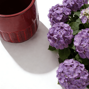 Pot de fleurs en céramique émaillée de style américain, couleur bordeaux, avec trou de drainage - motif en chevrons, écologique, durable, pour planter au sol - Product Image 3