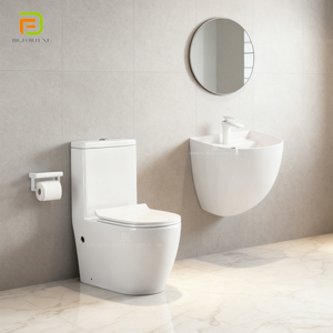 Ensemble de toilettes contemporaines avec cuvette à chasse d'eau et lavabo mural en céramique, chasse d'eau par gravité, toilettes monobloc rondes - Product Image 1