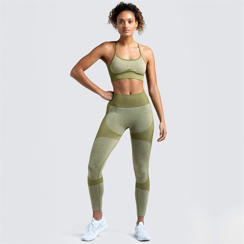 New Fashion Modern Breathable Workout Clothing Women Active Wear  Yoga Pants  BRA  8 colors