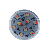 Lampes LED RGBW automatiques de haute qualité 48 mm IP65 1-16 pixels 110V/127V pour parcs d'attractions et aménagements paysagers