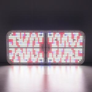 Lampes de culture LED réglables efficaces de 800 W avec 10 niveaux de luminosité pour la floraison des roses et l'horticulture - Product Image 3