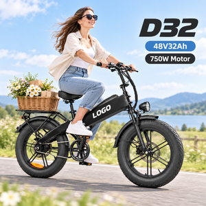 จักรยานไฟฟ้า D32 750W 48V 32Ah โครงอะลูมิเนียม ยาง 20 นิ้ว เบรกดิสก์ จักรยานเดินทางแบบความเร็วเดียว - Product Image 1