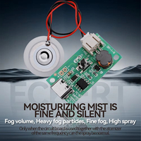Mini humidificateur à jet unique DC 5V 1,5-2W, module de brumisation, atomiseur ultrasonique, générateur de brume, interface de type C