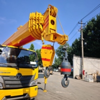Grue mobile hydraulique sur chenilles de 12 tonnes sur mesure pour projets municipaux, transplantation d'arbres et travaux d'assainissement urbain