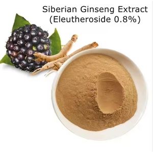 Yüksek kalite 0.8% Eleutherosides Ginsenoside sibirya <span class=keywords><strong>Ginseng</strong></span> özü Panax <span class=keywords><strong>Ginseng</strong></span> tozu - Product Image 5