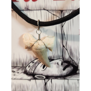 Copie signée de l'auteur du livre Le Relique du Ta Taal (Broché) Plus une Relique ! - Product Image 3