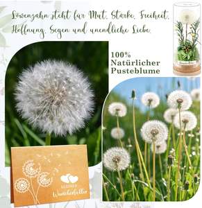 AYOYO Flor Eterna, Diente de León en Botella de Cristal, Adorno, Regalo, Flor Seca, Flor Auténtica, Regalo para el Día del Maestro, San Valentín 2026 - Product Image 5