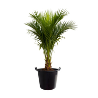 Pot de plante en plastique robuste (50L à 95L) avec poignées, conteneur de pépinière pour grands arbustes et arbres fruitiers, pour usage domestique et en jardin