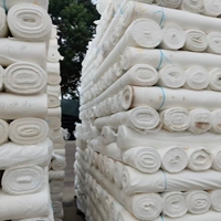 Tissu Pongee Teint 75D 190T 100% Polyester, Doux, Infroissable, Imperméable, Respirant, Entoilage Croisé pour Doublure de Vêtement