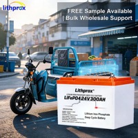 Ersatzakku für Elektromobile 24V300AH 7,2KWh Klasse A LiFePO4 Einfache Installation Vibrationsbeständig für 3-Rad-Elektrofahrzeuge