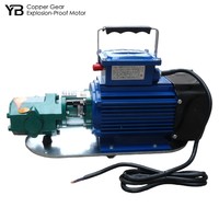 Pompe à huile à engrenages en fonte WCB 50, 25 LPM, 0,3 Mpa, 0,75 KW, pompe à huile moteur à engrenages en bronze, 1400 tr/min, avec moteur, entraînée par un moteur AC