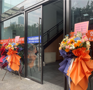 LCL corriere espresso spedizioniere marittimo Cina per servizi logistici brasili - Product Image 6