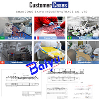 Baiyu Frozen Groente Fruit Productielijn Machines Plc-Geïntegreerde Vriesvruchten Groente Machine Voor Frambozen Ananas Vijg
