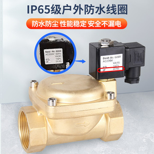 Vanne solénoïde normalement fermée Yueer 0,2~1,6 MPa, type pilote, pour eau et gaz, 220 V AC DN15-50 - Product Image 4