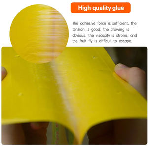 2025 gros autocollant d'insecte respectueux de l'environnement naturel pour plante autocollant volant tueur de parasites étanche - Product Image 5