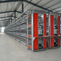 Cage à volailles 3 niveaux 5 portes type H pour 120 poulets/ensemble, poulailler pour poules pondeuses pour 1000, 5000, 10000 oiseaux