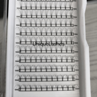 Extensions de cils noirs mats de haute qualité 2D 3D 4D 5D 6D 7D 8D 9D 10D 12D, éventails à base courte et fine de 0,05 0,07 0,10 mm
