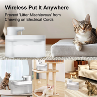 Fontaine à eau pour animaux de compagnie avec détecteur de mouvement, arrêt automatique après 15 secondes, économie d'énergie, abreuvoir intelligent sans fil pour chat, double voyant lumineux de rappel