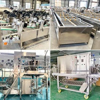 Commercial Usa Maquina éplucheur d'ail oignon et fendu clou de girofle processus de séchage Machine ligne commerce en Inde