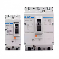 Disjoncteur CHINT NM8NDC 2 pôles PV DC MCCB 50A 63A 125A 160A 200A 225A 250A pour système solaire