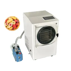 Household Small Food Freeze Drying Machine Electric Vegetable and Meat Freeze Dryer with Vacuum Pump