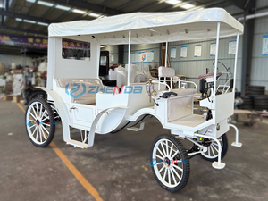 Nuevo Vehículo Eléctrico de Turismo para Fotografía de Viajes, Transporte Especial para Múltiples Ocasiones - Product Image 3