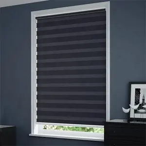 Customized Modern Dexter Blinds Blackout Manual Roll Day And Night Electric Blinds Motorized Skylight