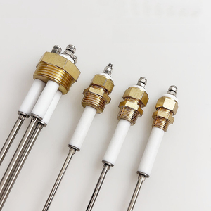 Sonda <span class=keywords><strong>Elettrodo</strong></span> per Indicatore Livello Acqua <span class=keywords><strong>Caldaia</strong></span> Industriale in Acciaio Inossidabile per Alte Temperature e Alta Pressione - Product Image 6