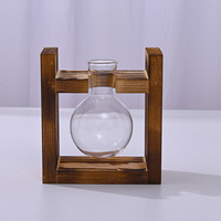 Grand Conteneur Hydroponique Numérique Créatif, Mini Cadre en Bois, Vase Bouteille en Verre, Plante de Radis Vert, Mignonne Fleur de Jardinage d'Intérieur