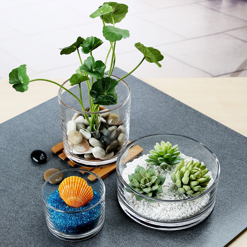 Factory Produced Wholesale Glass Flower Vase for Home Decor