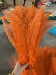 Eco-friendly 60cm South Africa Raw In Feather Colorful 18-22inch White Ostrich Nandu Feathers For Bulk Carnival Costume