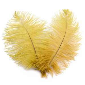 Plumes multicolores 15-20CM Plume d'autruche pour mariage, fête, danse, ornements de carnaval - Product Image 6