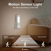 Veilleuse Mini Lampe de Nuit Blanc Chaud en Gros Économie d'Énergie Capteur de Lumière LED Veilleuse pour Éclairage Intérieur