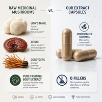 Complexe de champignons liposomaux personnalisé, OEM, marque privée, qualité médicale, certifié GMP, complément alimentaire naturel pour adultes, stimulant du cerveau et du système immunitaire