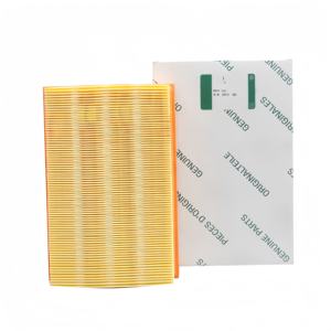 LANDROVER FREELANDER LR005816 LR003011 ADJ132213 için araba hava filtresi 108335 CA10432 E1218L LX1957 C28155 ELP9236 WA9612 el55a - Product Image 5