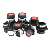 Adaptateur de câblage électrique mâle 48 broches LIZONE ITT Automotive Modèle 192900-0431 Série Trident Neptune Connecteur ISO9001