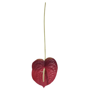 Flores Artificiales de Anturio Yixuan, de Goma Suave con Tacto Real, para Decoración de Bodas, Arreglos Florales DIY - Product Image 5