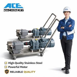 15HP 11KW ZB3A-100 Stainless Steel SS304 SS316L Single Wing Food Rotor Lobe Pump With Transferring High Viscosity Liquid - Product Image 6