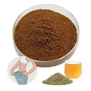 Factory Price Yerba mate extract health supplement natural pure yerba mate extract powder
