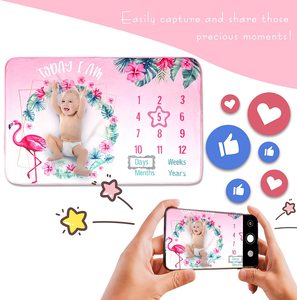 Minky Fleece mensile Milestone Baby coperta foto sfondo personalizzato foto Baby mensile Milestone coperta - Product Image 6