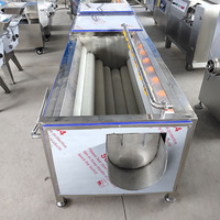 Multifunctionele Borstel Oranje Wortel Wasmachine Cactusvijg Fruit Groente Reinigingsmachine
