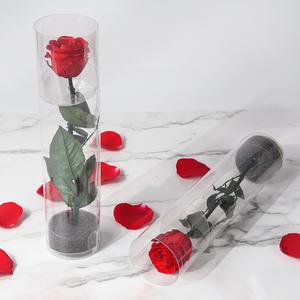 Rosa Preservada Individual con Tallo en Cilindro de PVC Transparente, Flor Eterna para Regalo de San Valentín o Boda, Venta al Por Mayor de Fábrica - Product Image 5